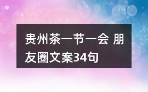 “貴州茶一節(jié)一會” 朋友圈文案34句