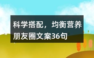 科學搭配，均衡營養(yǎng)朋友圈文案36句