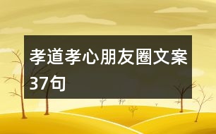 孝道、孝心朋友圈文案37句