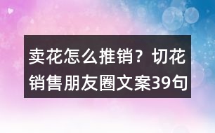 賣(mài)花怎么推銷(xiāo)？切花銷(xiāo)售朋友圈文案39句