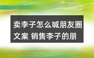 賣李子怎么喊朋友圈文案 銷售李子的朋友圈文案34句