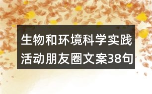 生物和環(huán)境科學(xué)實踐活動朋友圈文案38句