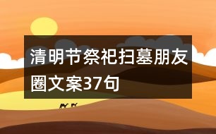 清明節(jié)祭祀、掃墓朋友圈文案37句