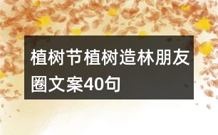 植樹(shù)節(jié)、植樹(shù)造林朋友圈文案40句