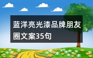 藍洋亮光漆品牌朋友圈文案35句