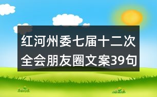 紅河州委七屆十二次全會(huì)朋友圈文案39句