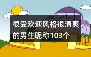 很受歡迎風(fēng)格很清爽的男生昵稱103個