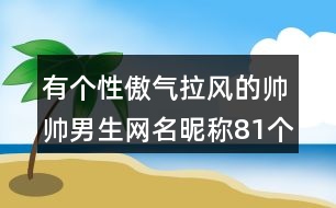 有個性傲氣拉風的帥帥男生網(wǎng)名昵稱81個