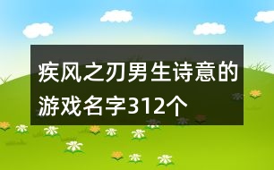 疾風(fēng)之刃男生詩意的游戲名字312個