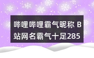 嗶哩嗶哩霸氣昵稱 B站網(wǎng)名霸氣十足285個(gè)