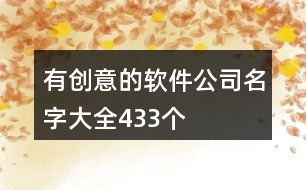 有創(chuàng)意的軟件公司名字大全433個(gè)