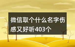 微信取個(gè)什么名字傷感又好聽(tīng)403個(gè)