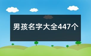 男孩名字大全447個