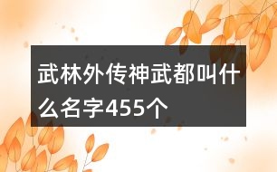 武林外傳神武都叫什么名字455個(gè)