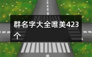 群名字大全唯美423個(gè)