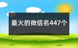 最火的微信名447個