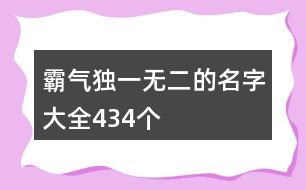 霸氣獨(dú)一無二的名字大全434個(gè)