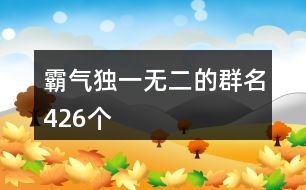 霸氣獨(dú)一無(wú)二的群名426個(gè)