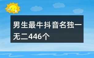 男生最牛抖音名獨一無二446個