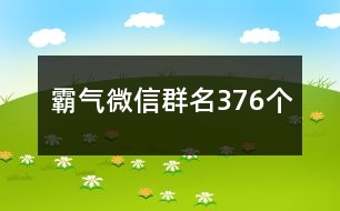 霸氣微信群名376個