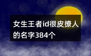 女生王者id很皮撩人的名字384個