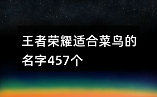 王者榮耀適合菜鳥的名字457個(gè)