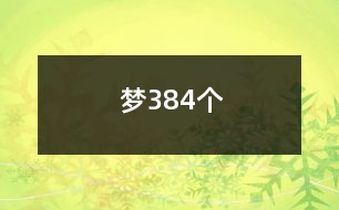 夢(mèng)384個(gè)