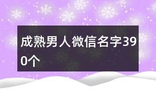 成熟男人微信名字390個