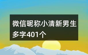 微信昵稱小清新男生多字401個(gè)