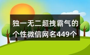 獨一無二超拽霸氣的個性微信網(wǎng)名449個