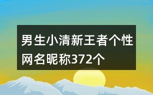 男生小清新王者個性網(wǎng)名昵稱372個