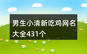 男生小清新吃雞網(wǎng)名大全431個(gè)