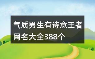 氣質男生有詩意王者網名大全388個