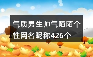 氣質(zhì)男生帥氣陌陌個性網(wǎng)名昵稱426個