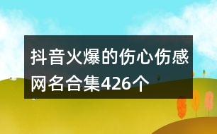 抖音火爆的傷心傷感網(wǎng)名合集426個(gè)