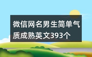 微信網(wǎng)名男生簡單氣質(zhì)成熟英文393個(gè)