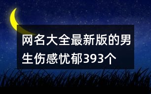 網(wǎng)名大全最新版的男生傷感憂郁393個(gè)