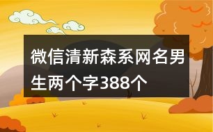 微信清新森系網(wǎng)名男生兩個字388個