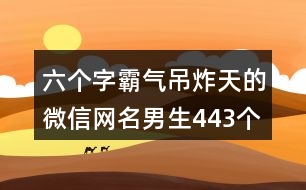 六個字霸氣吊炸天的微信網(wǎng)名男生443個