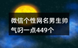 微信個性網(wǎng)名男生帥氣叼一點449個