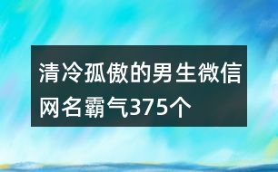 清冷孤傲的男生微信網(wǎng)名霸氣375個