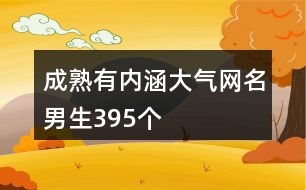 成熟有內涵大氣網名男生395個