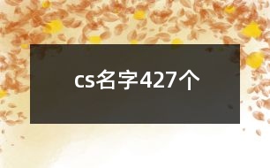 cs名字427個