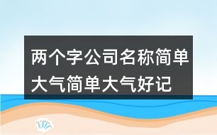 兩個字公司名稱簡單大氣,簡單大氣好記的公司名414個