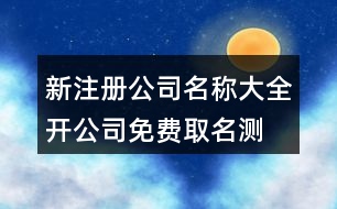 新注冊公司名稱大全,開公司免費取名測試打分397個