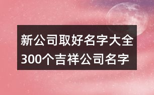 新公司取好名字大全,300個吉祥公司名字大全456個