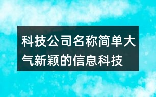 科技公司名稱簡(jiǎn)單大氣,新穎的信息科技公司名字436個(gè)