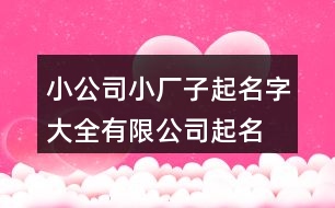 小公司小廠子起名字大全,有限公司起名字392個