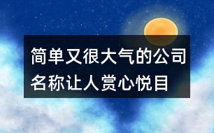 簡單又很大氣的公司名稱,讓人賞心悅目的公司名字392個