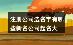 注冊公司選名字有哪些新名,公司起名大全最新版的413個